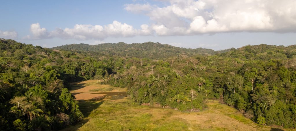 Lago Panamá Rainforest Discovery Center