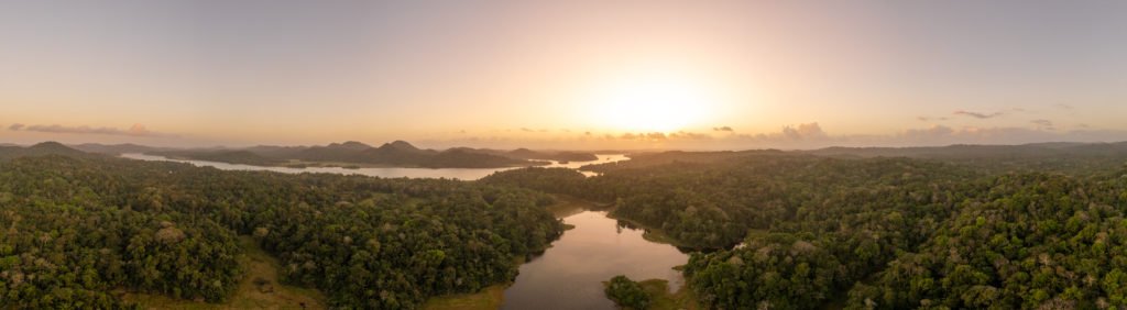 Vistas desde la Torre de observación de Panama Rainforest Discovery Center