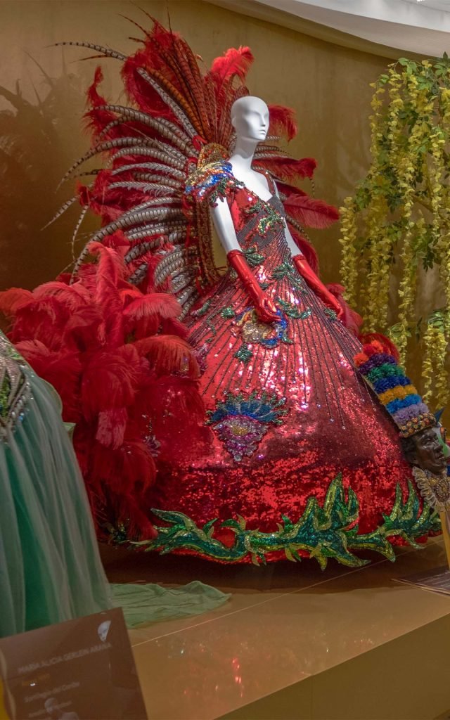 Vestido en el Museo del Carnaval