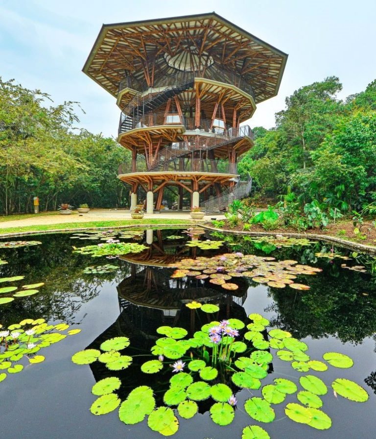 Cali Botanical Garden