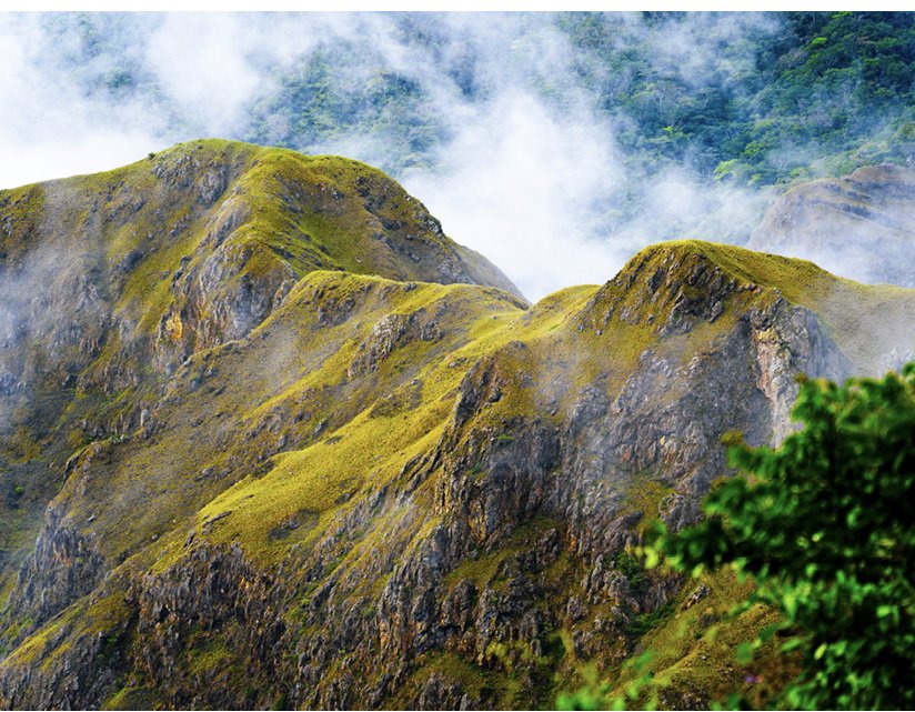 Cerro La Cruz, Altos de Campana