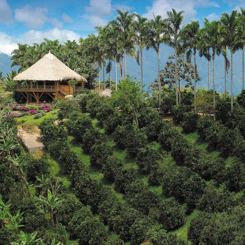 Eje Cafetero, Colombia