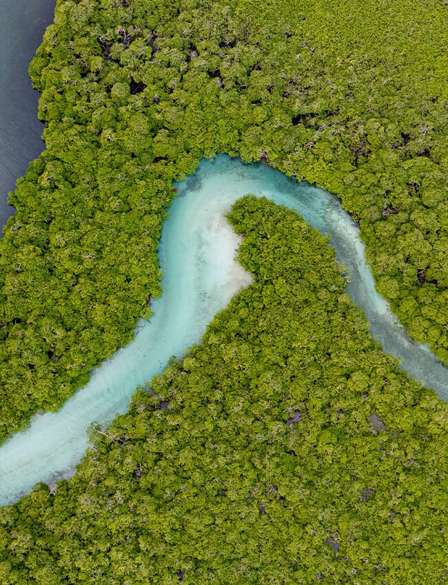 Panama | Panorama de las Americas
