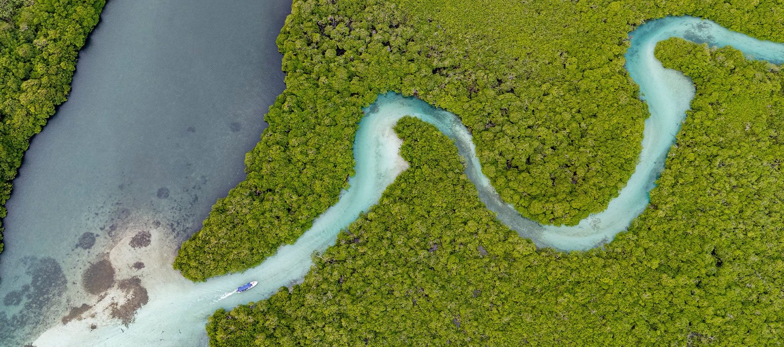 Panama-IslaGrande