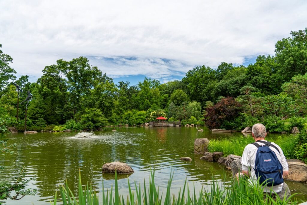 Chicago-Anderson-Japanese-Garden