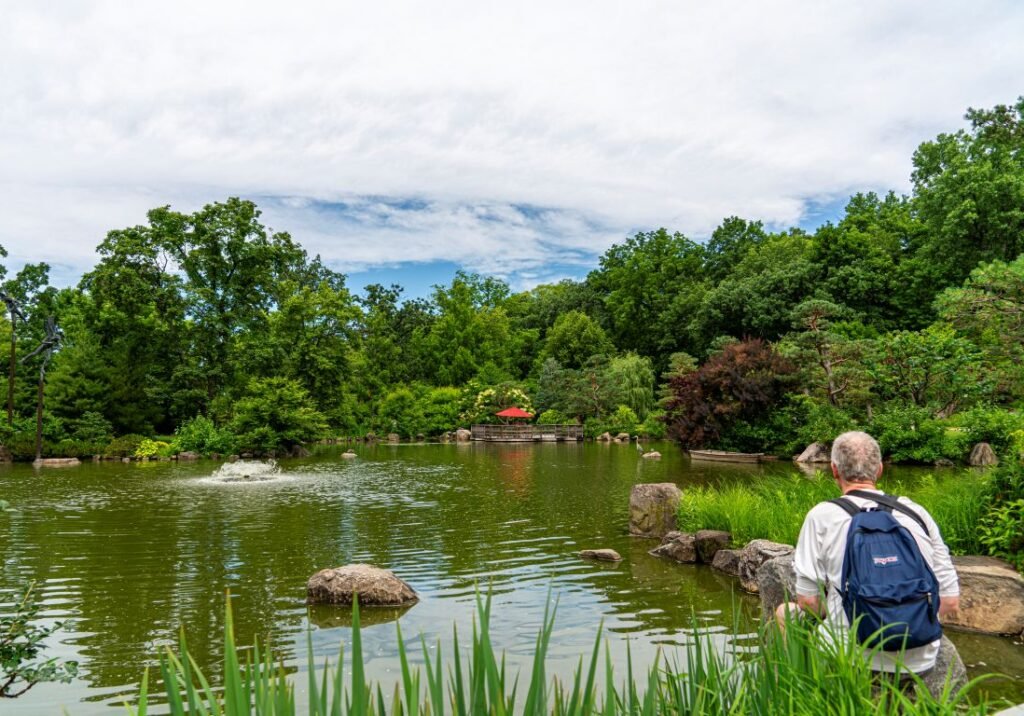 Chicago-Anderson-Japanese-Garden