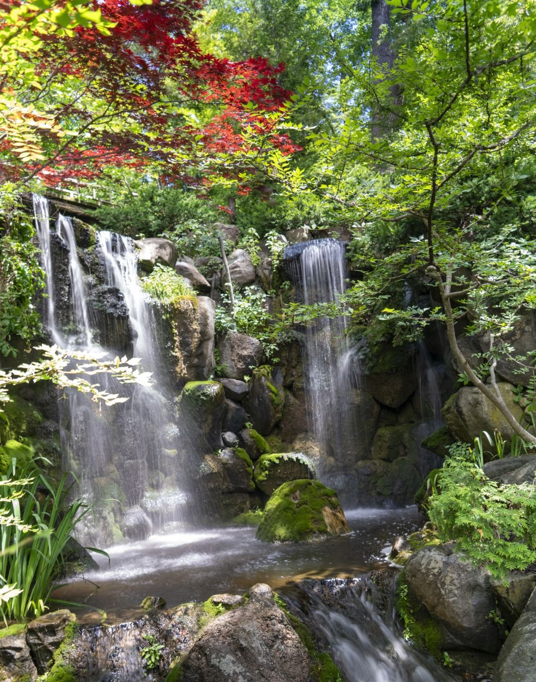 Chicago-Anderson-Japanese-Garden