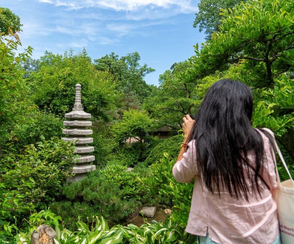 Chicago-Anderson-Japanese-Garden