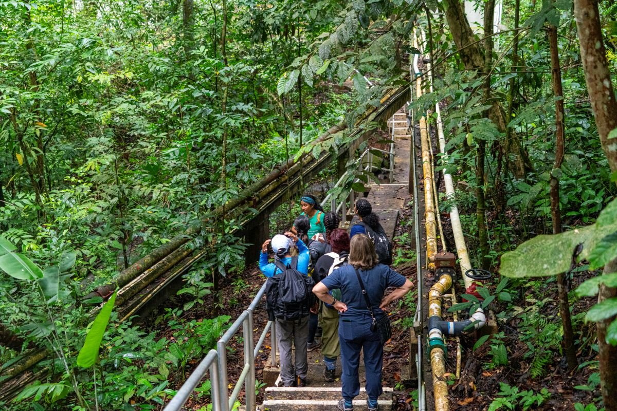 Guía interpretativa con visitantes explorando la selva tropical de Barro Colorado, Panamá.