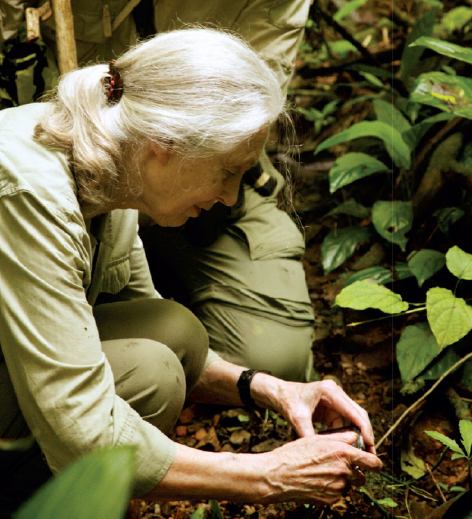 Jane-Goodall sembrando