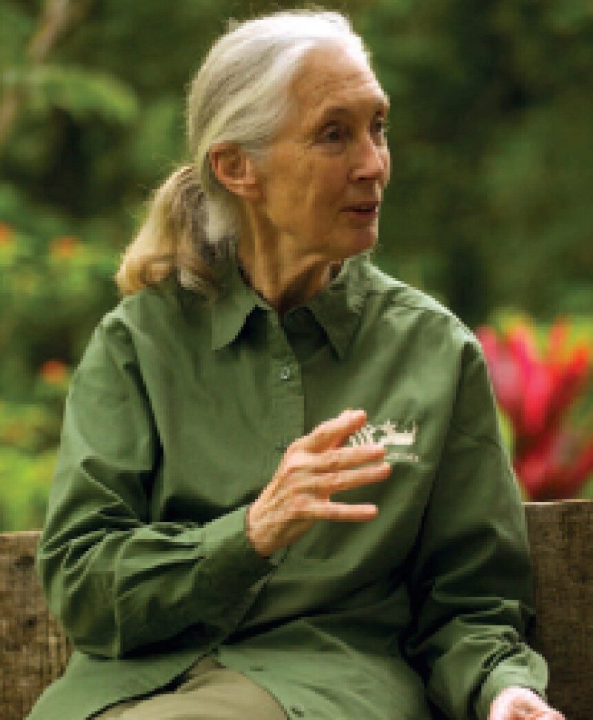 Jane Goodall en la banca