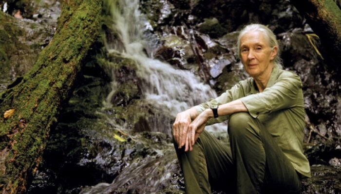 Jane Goodall portada