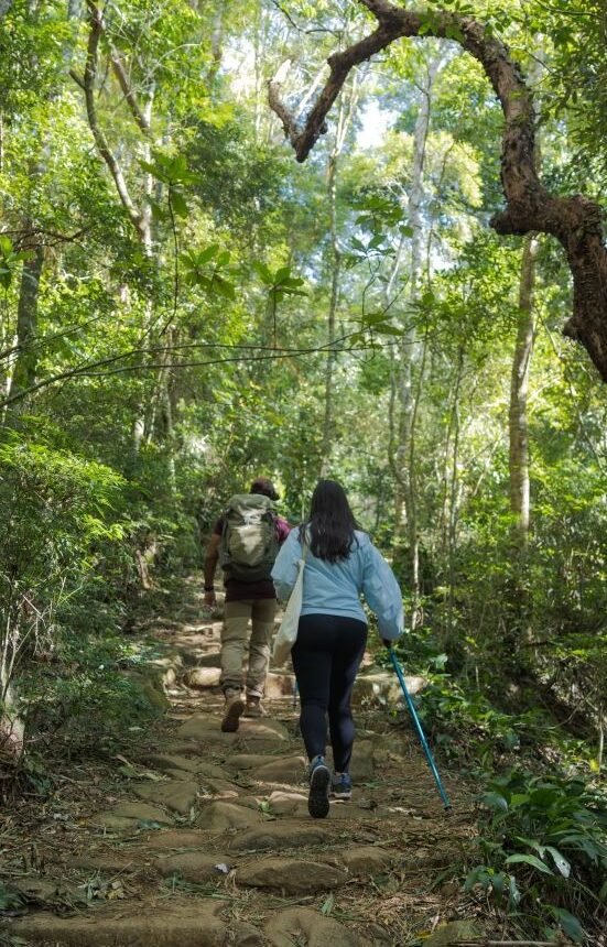 Sendero en el Bosque de Tijuca que conduce a Pedra Bonita, una de las vistas más impresionantes de Río de Janeiro, rodeado de vegetación tropical.