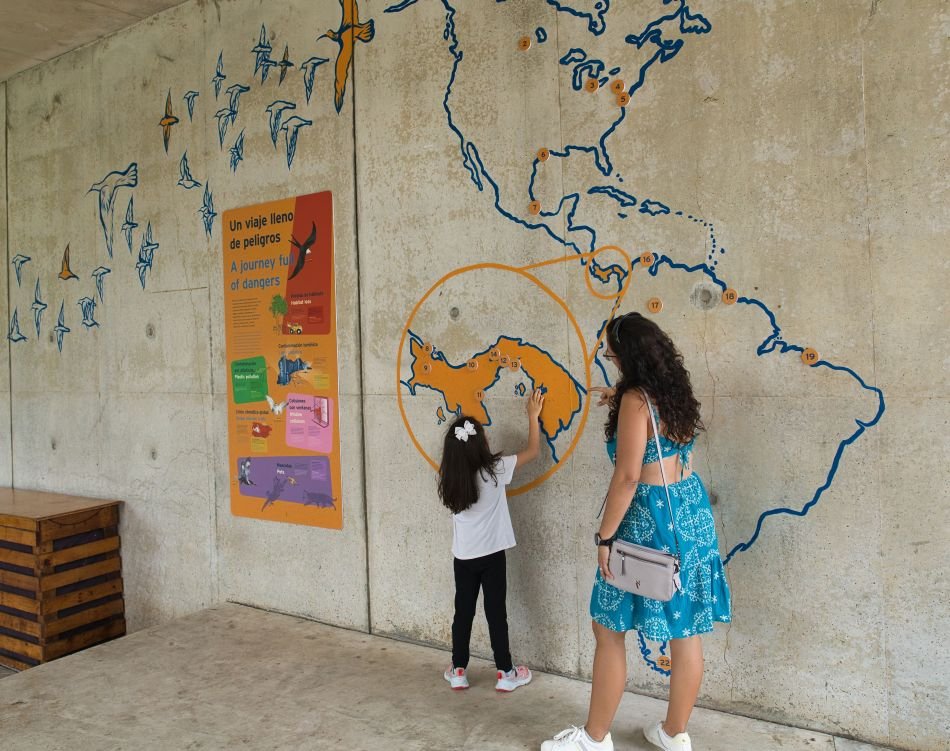 Biomuseo Panamá Interiores