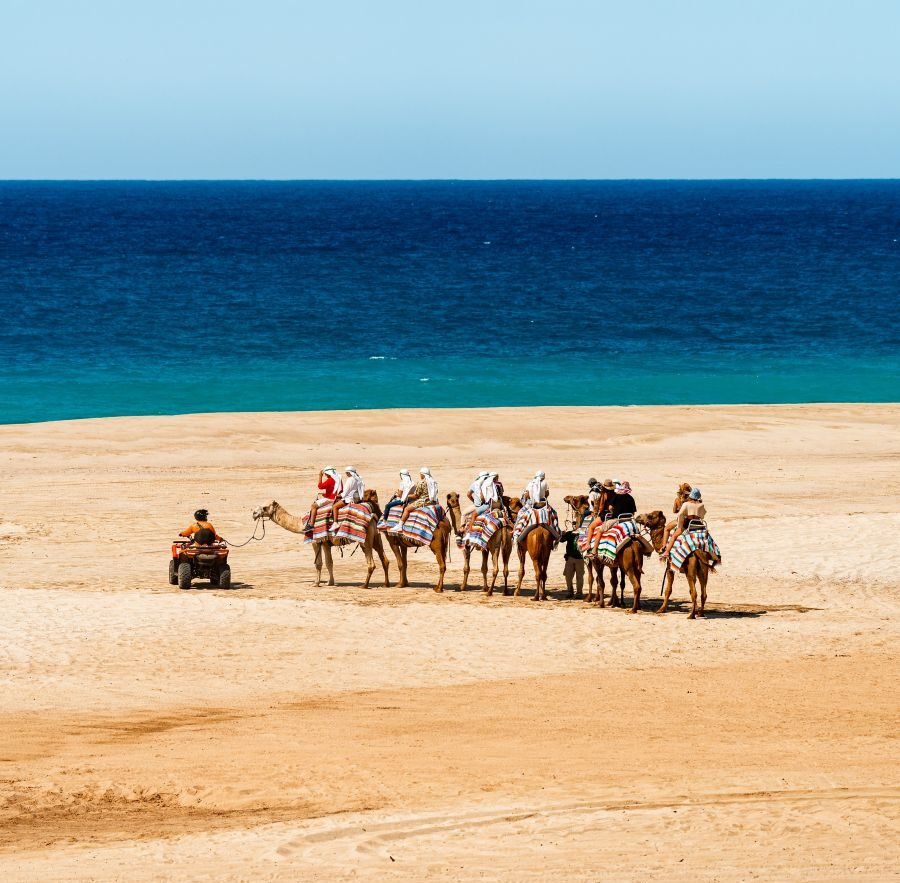 Cactus Tour con camellos y cuatrimotos 4x4