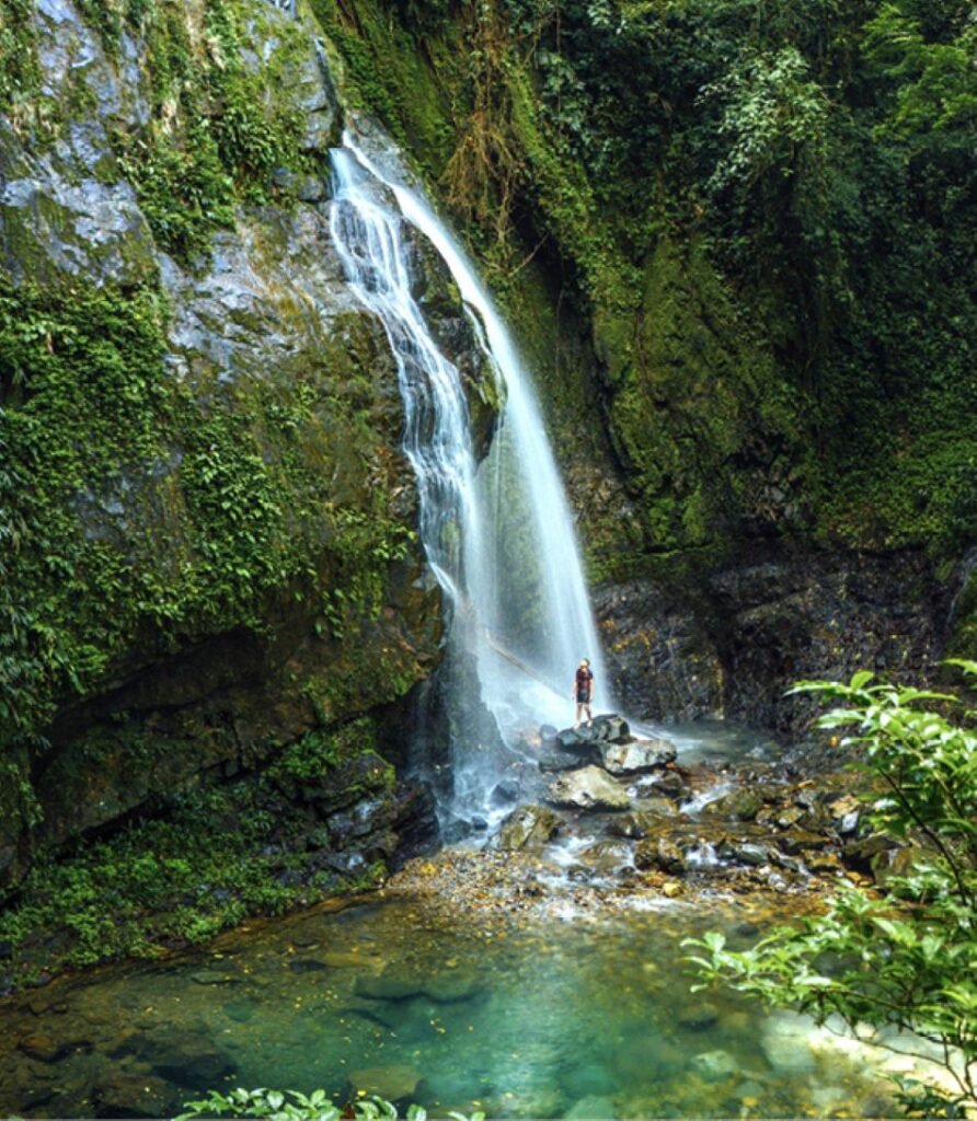 Cascada en la naturaleza de Panamá