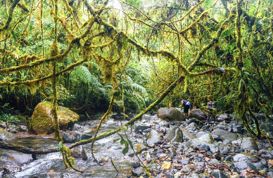 Naturaleza en Panamá