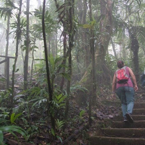 Panamá-Parque el Cope