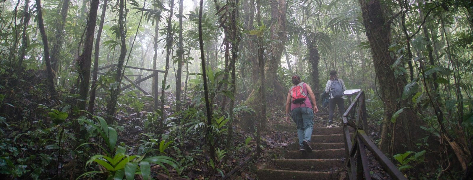 Panamá-Parque el Cope