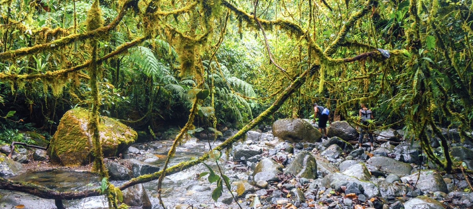 Portada Artículo de Gabriel