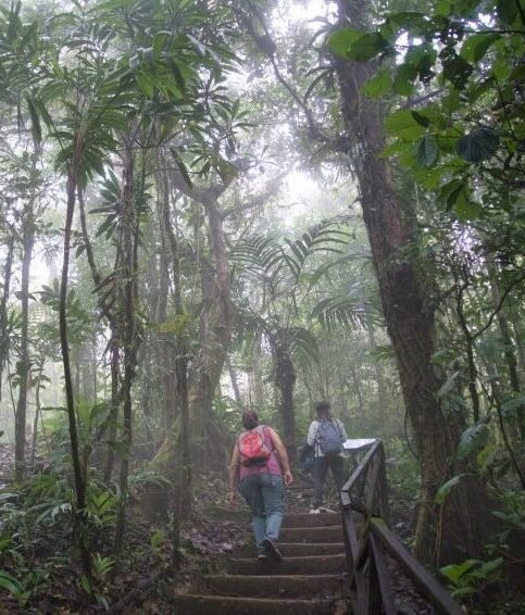 Panamá-Parque el Cope