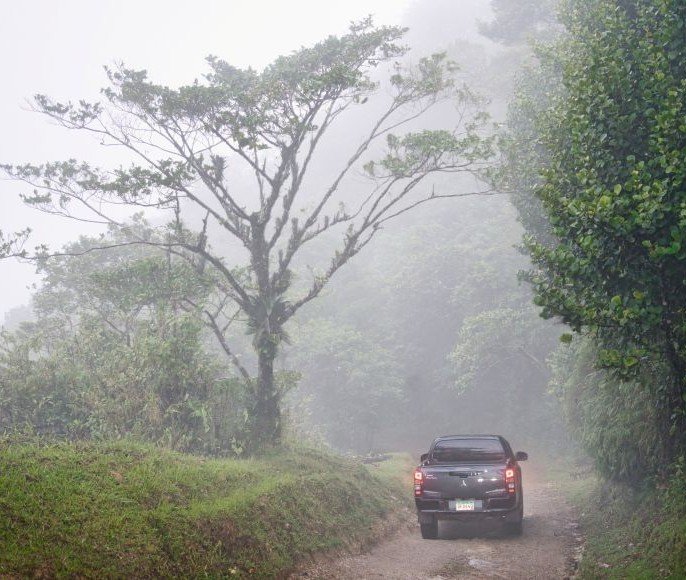 Panamá-Parque el Cope naturaleza. Donde nace la niebla