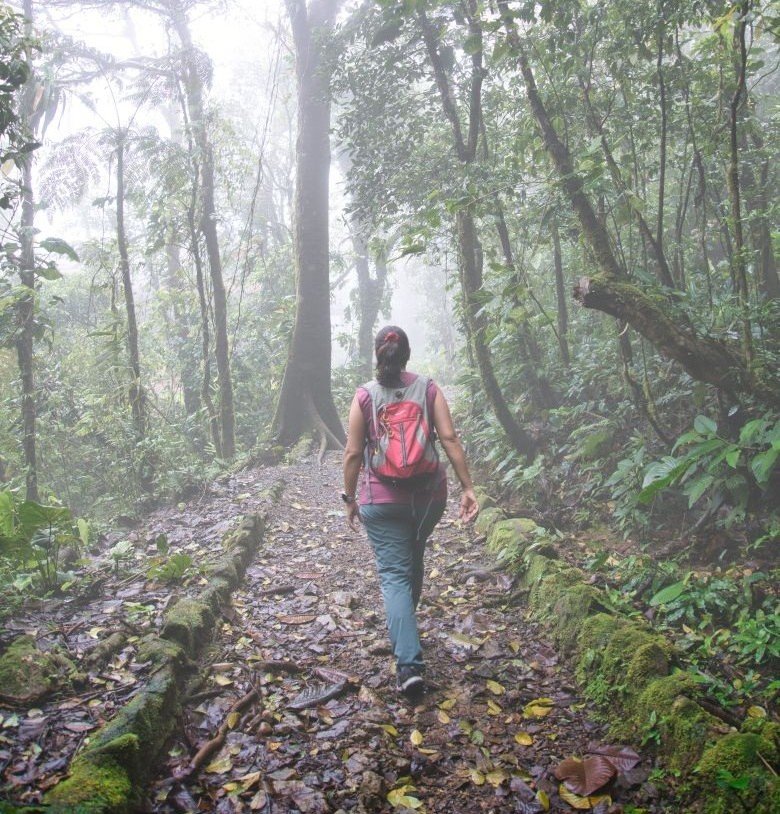 Panamá-Parque el Cope recorrido. Donde nace la niebla
