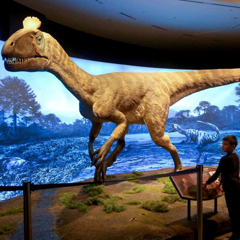 Dinosaur-museum-015