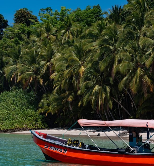 Santa Catalina