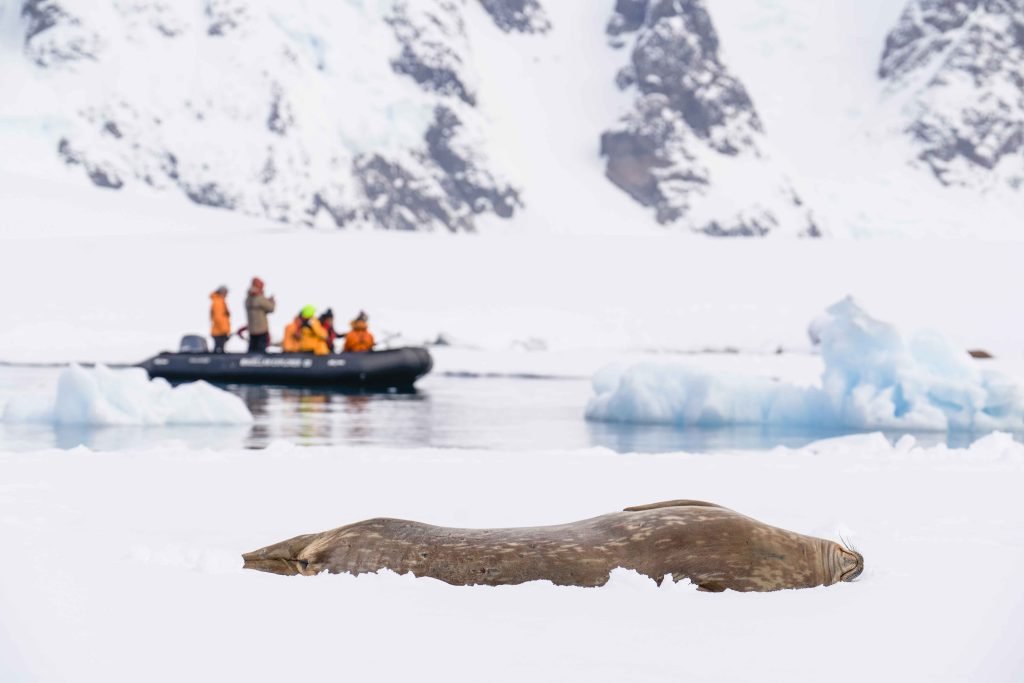 Antarctica