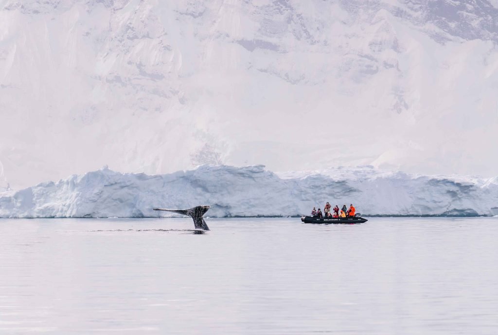 Antarctica