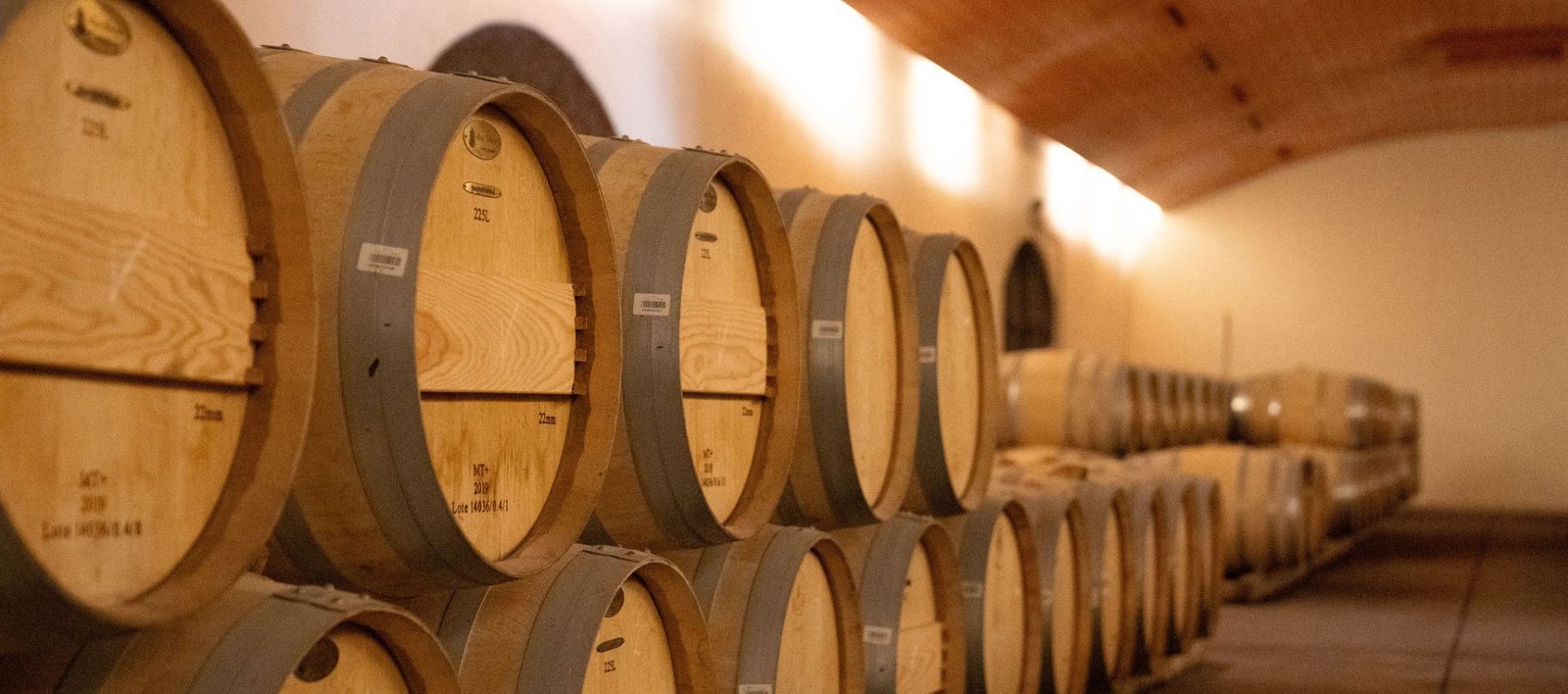 Una jornada en la Viña Concha y Toro