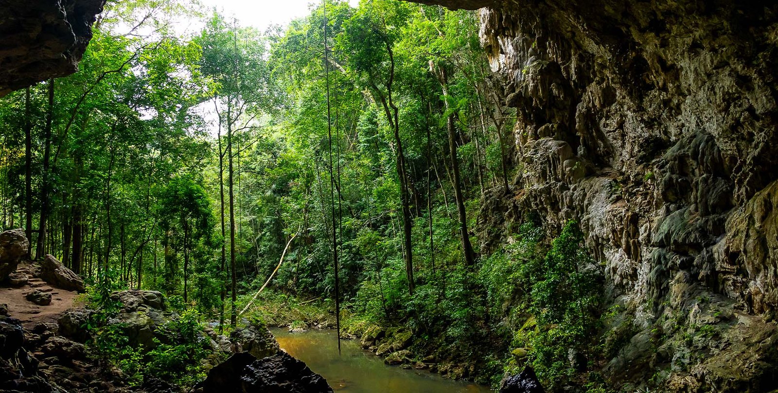 Campo en Belize