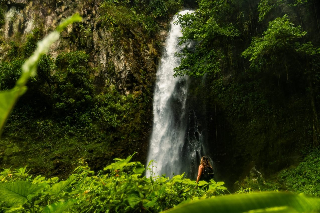 Cascada Trueno, Cordillera Chiriquí