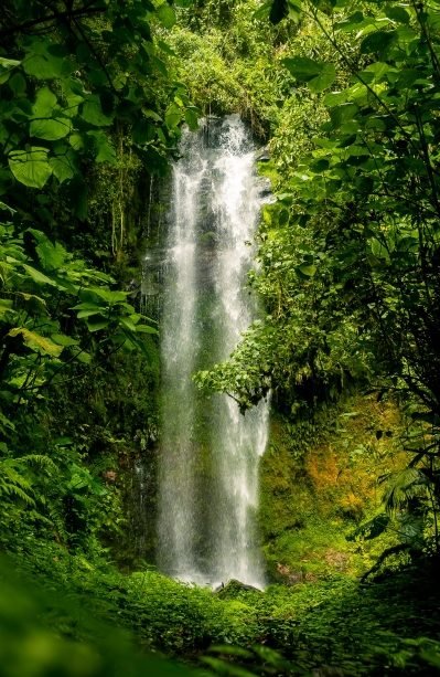 Cascada El Tatica