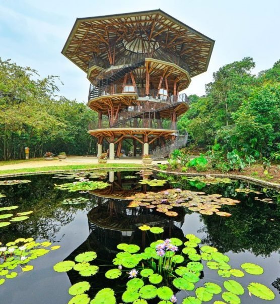 Jardín Botánico de Cali