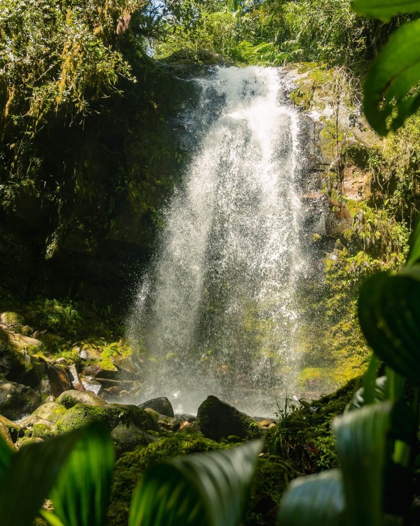 The Lost Waterfalls