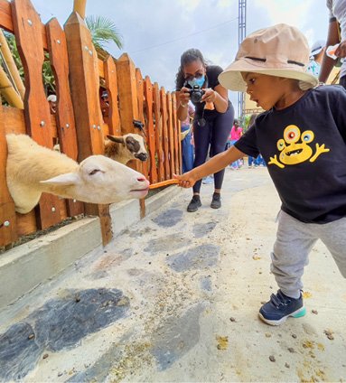 PANACA, Quindío
