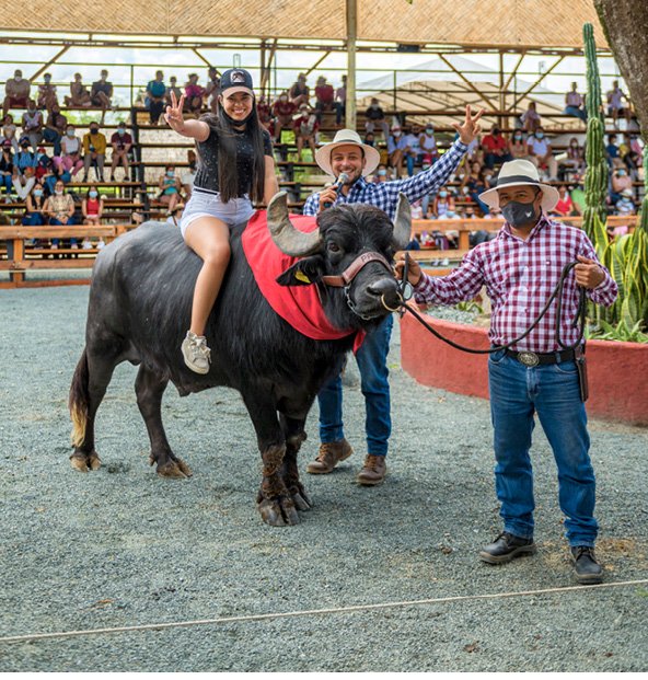 PANACA, Quindío