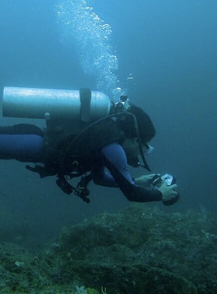 Reef diving, Coiba