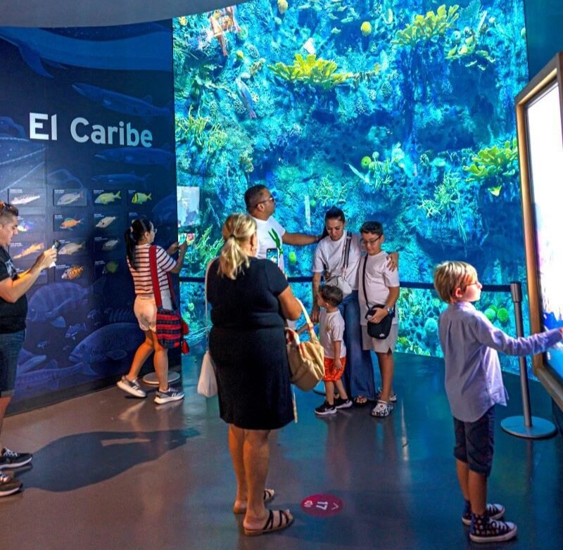 Biomuseo Caribbean Room