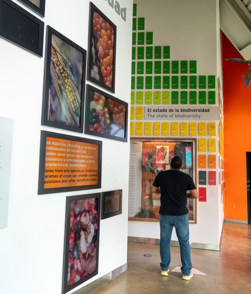 Biomuseo-Diversidad