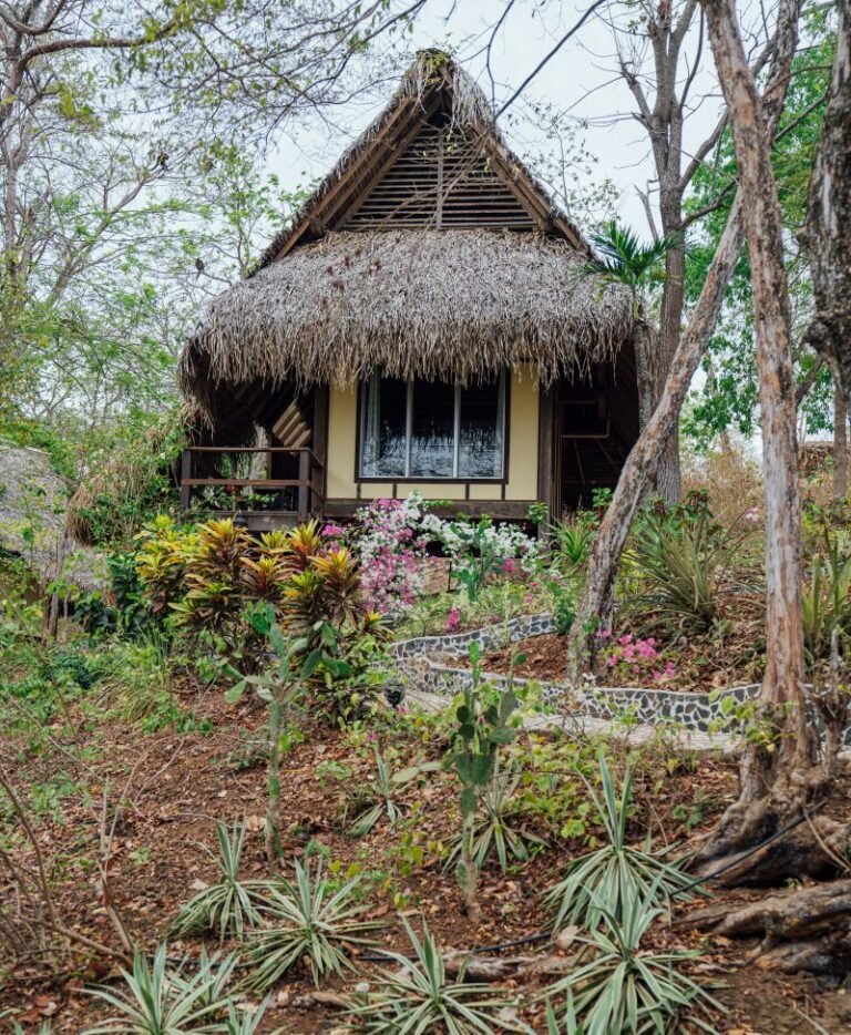 Eco Venao