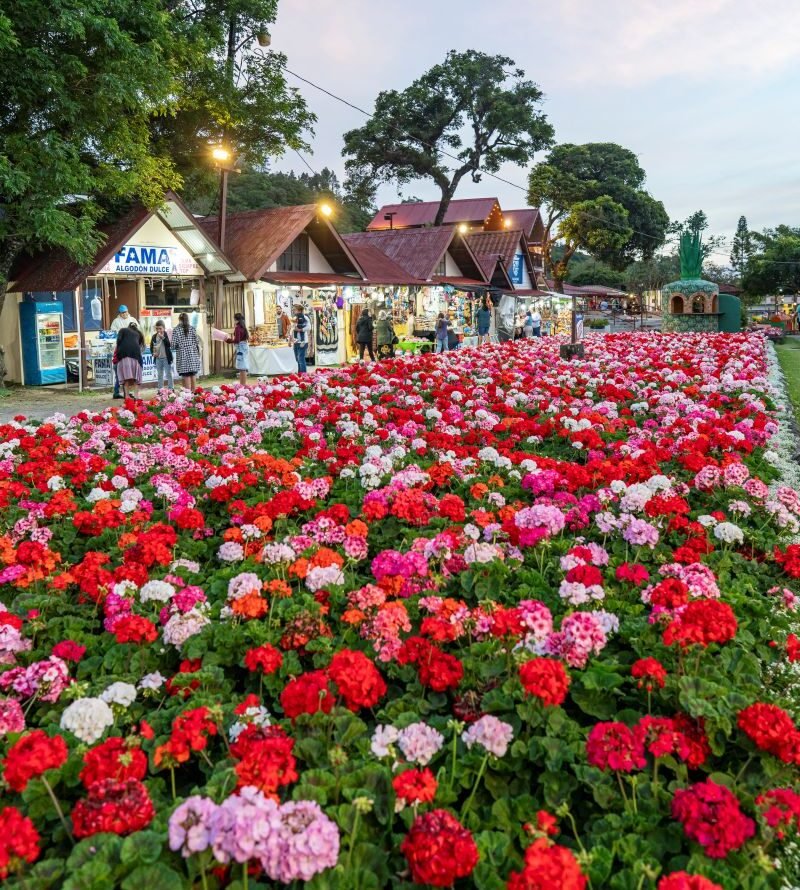 Feria de las Flores