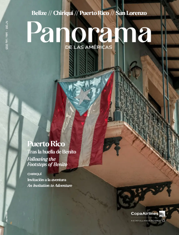 265 Jul 2025 Portada