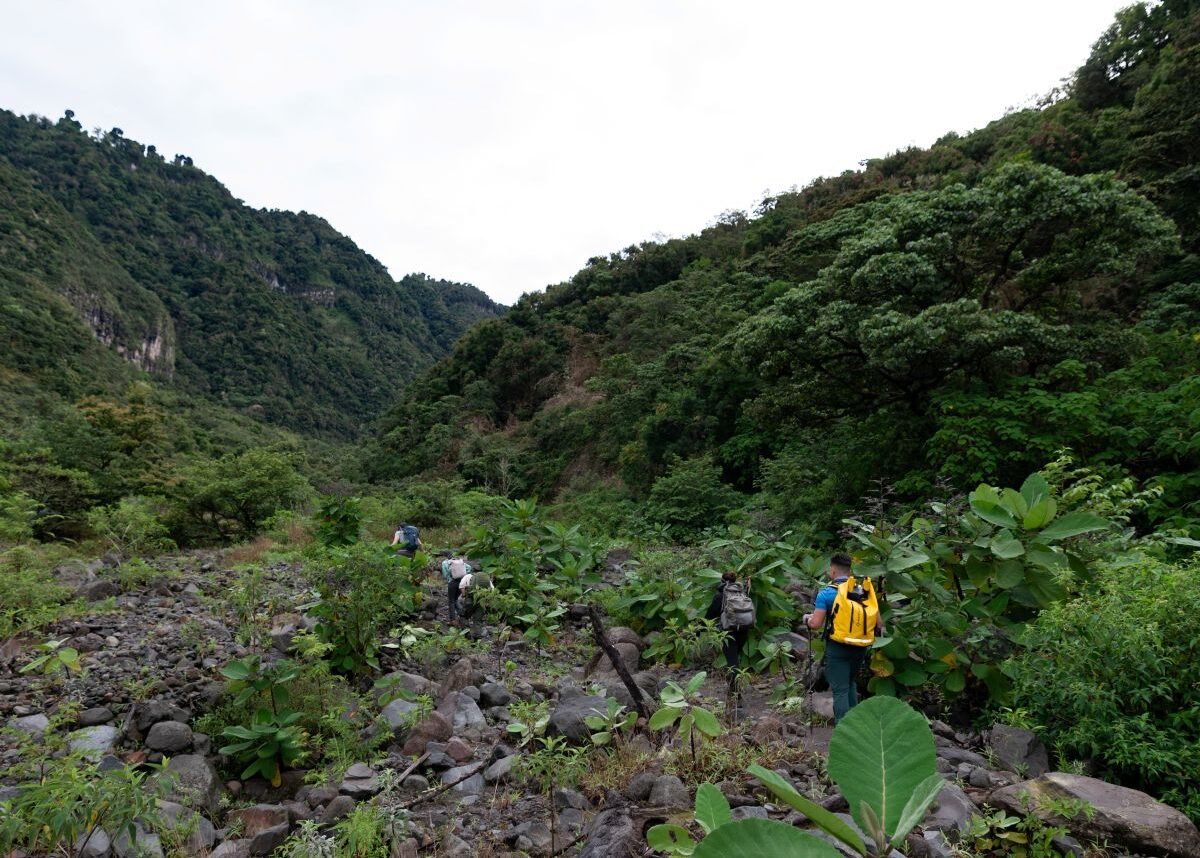 Excursionistas atravesando El Arenal, conocido como Mordor, en la ruta al cráter y la cima del Volcán Barú en Panamá.