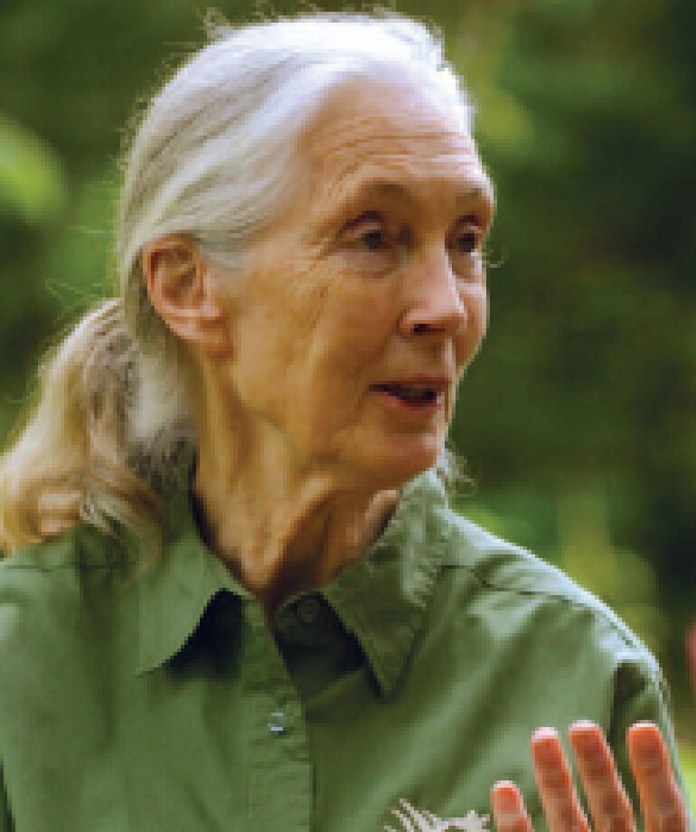 Jane talking