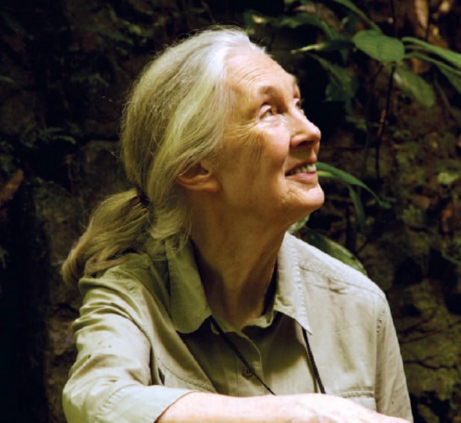 Jane Goodall activa