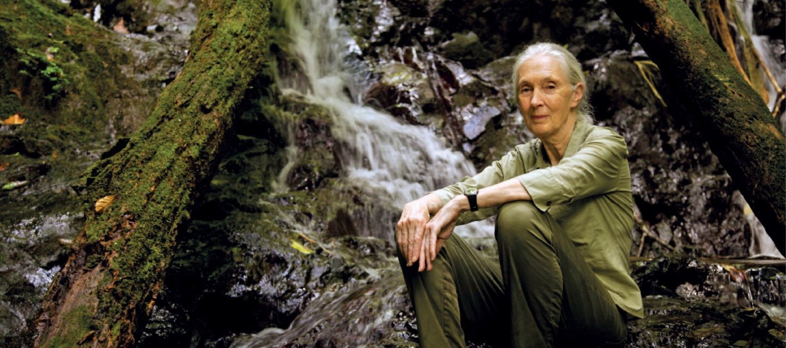 Jane Goodall portrait
