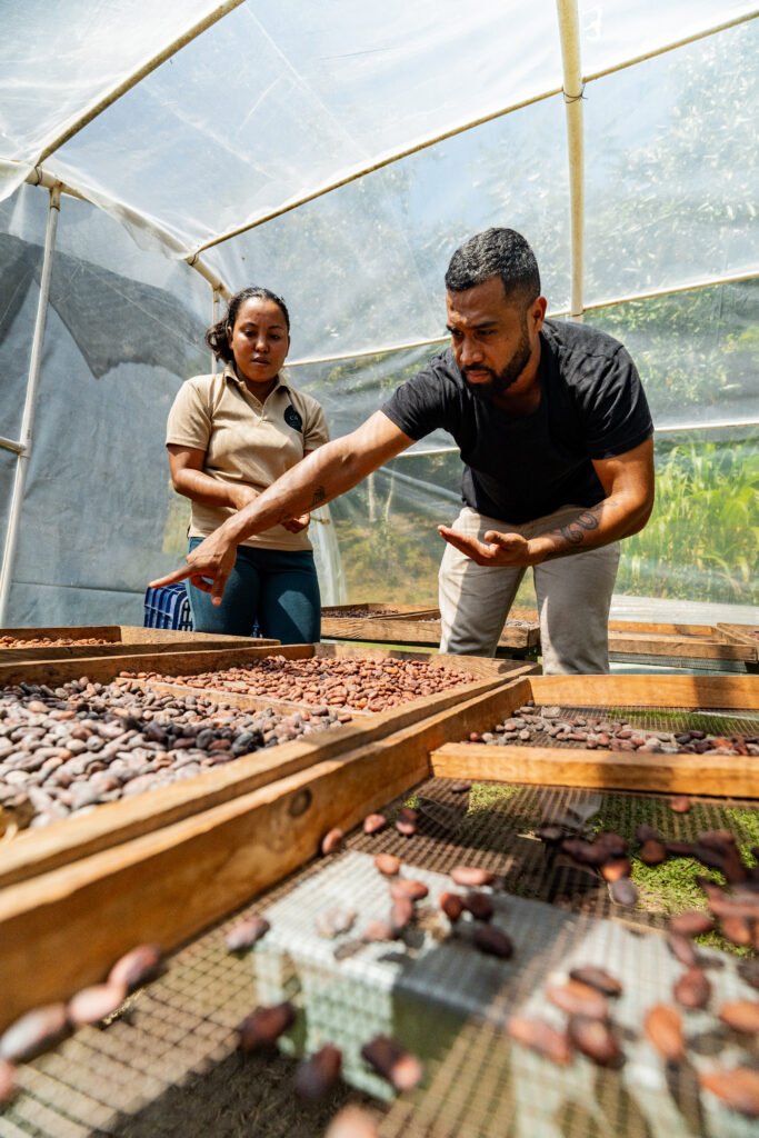 Cacao las minas